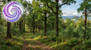 Regionaler Wald als Symbol für nachhaltige Holzherkunft
